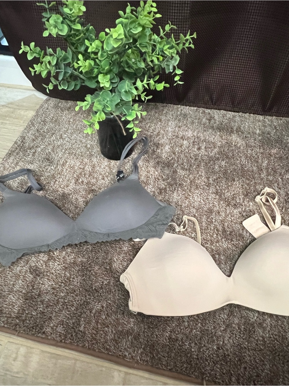 Women’s Lace-Trim T-Shirt Bras in Gray and Nude